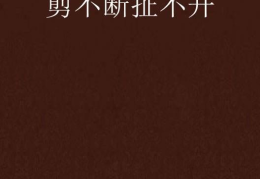 剪不断,探索无尽创意的叙事艺术